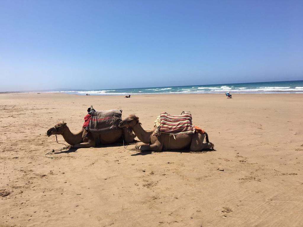 Appartement De Luxe Chez Hicham Asilah Eksteriør billede
